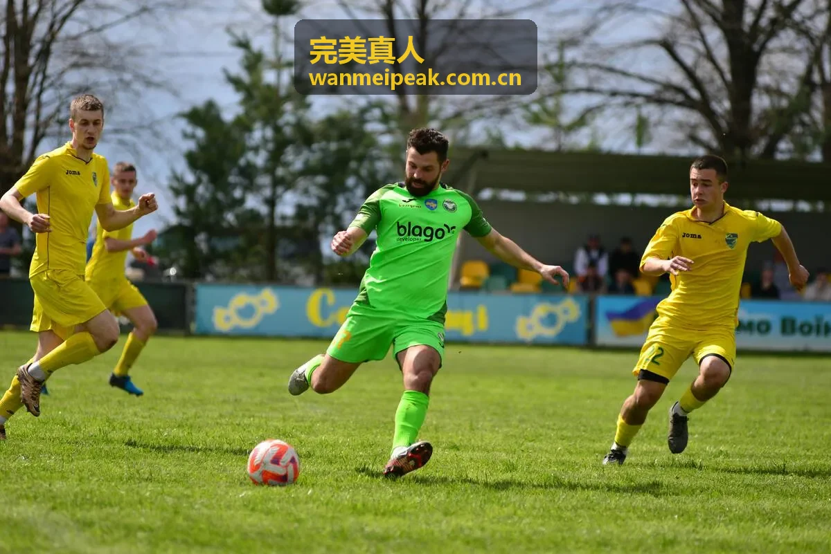 完美真人记录人物交流的真实场景